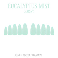 Eucalyptus Mist sage green press-on nails