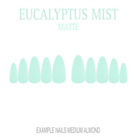 Eucalyptus Mist sage green press-on nails