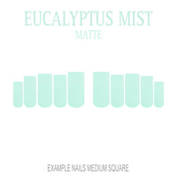 Eucalyptus Mist sage green press-on nails