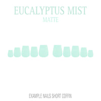 Eucalyptus Mist sage green press-on nails