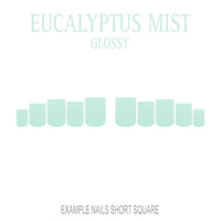 Eucalyptus Mist sage green press-on nails
