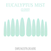 Eucalyptus Mist sage green press-on nails