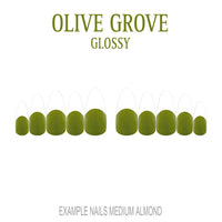 Olive Grove olive green French tip nails